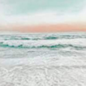 Meet your Posher, Ella